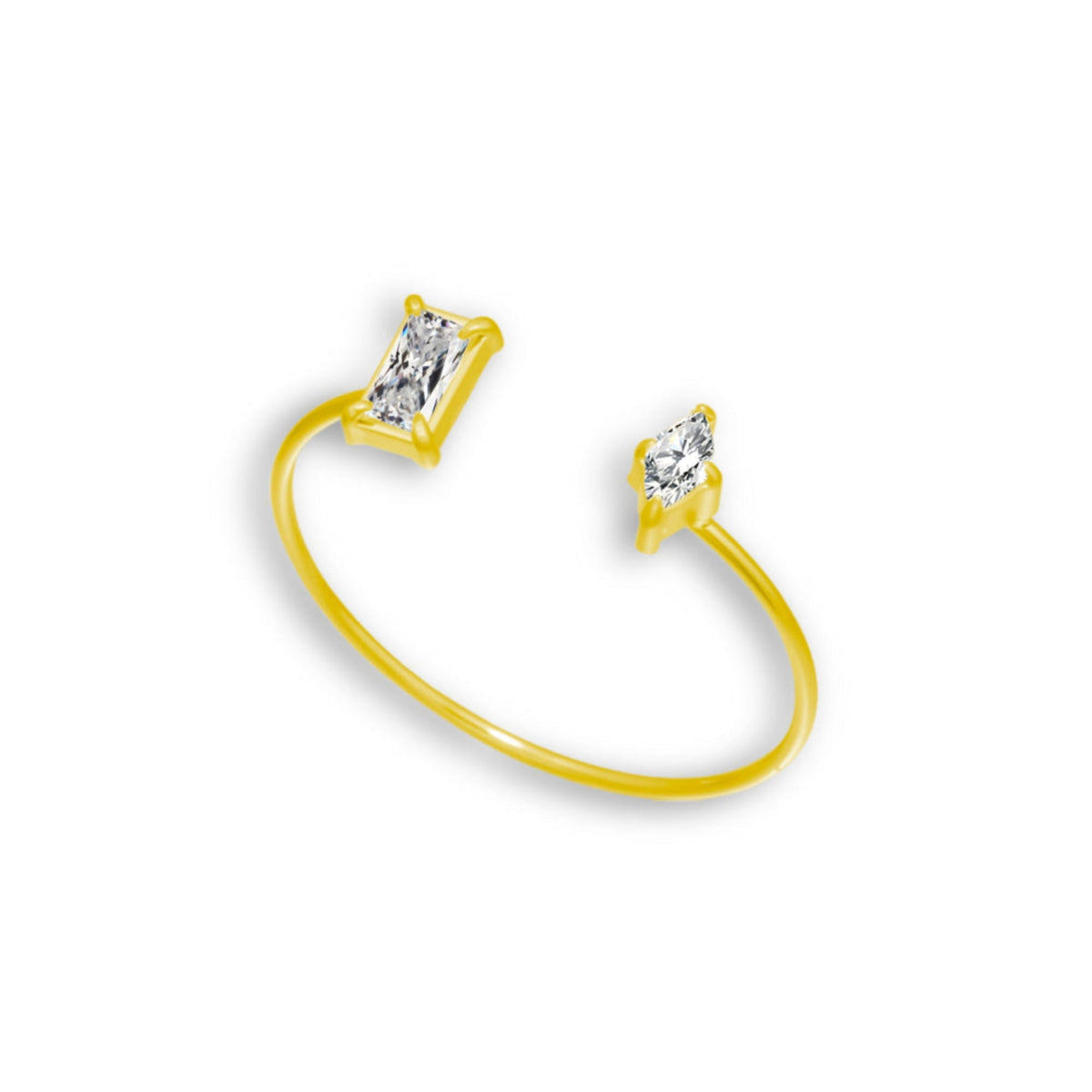 Two of a Kind Ring - EVRYJEWELS